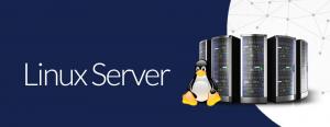 logo linux server