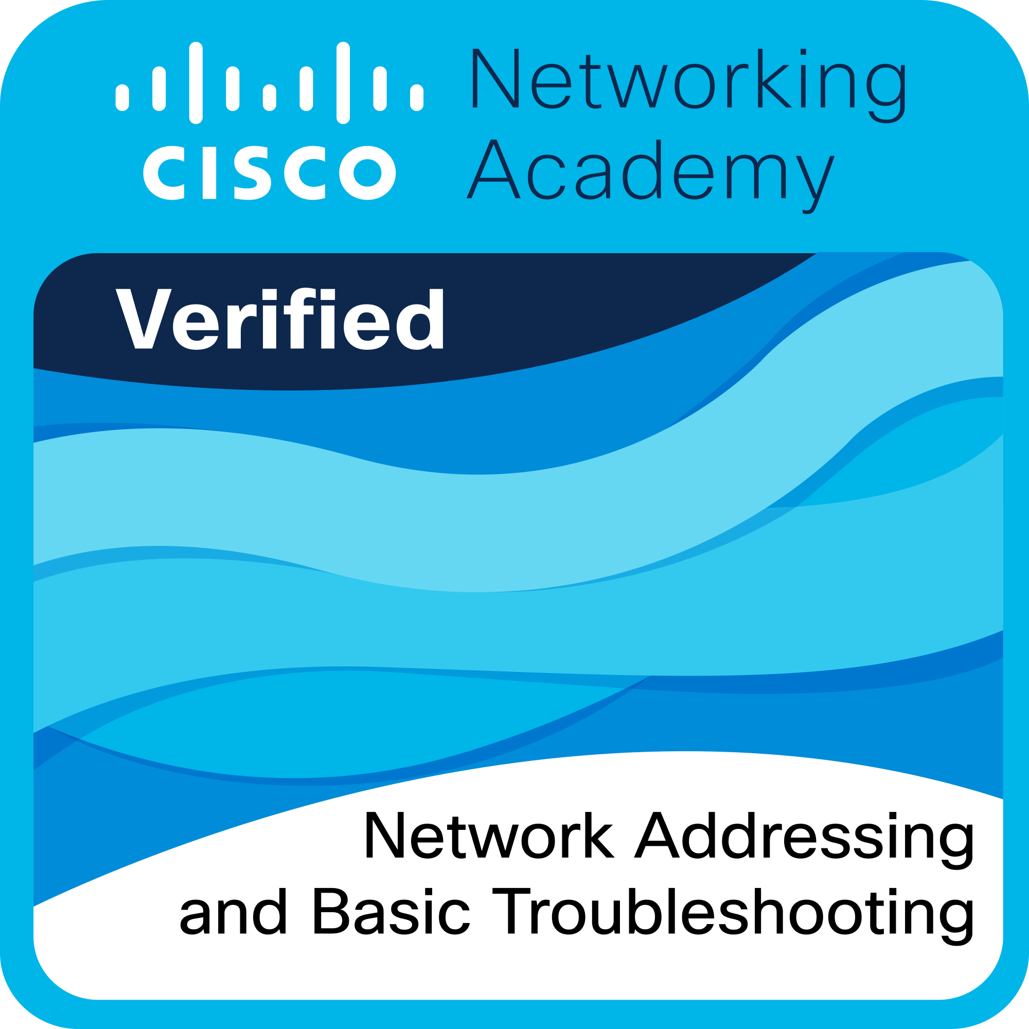 network addressing and basic troubleshooting