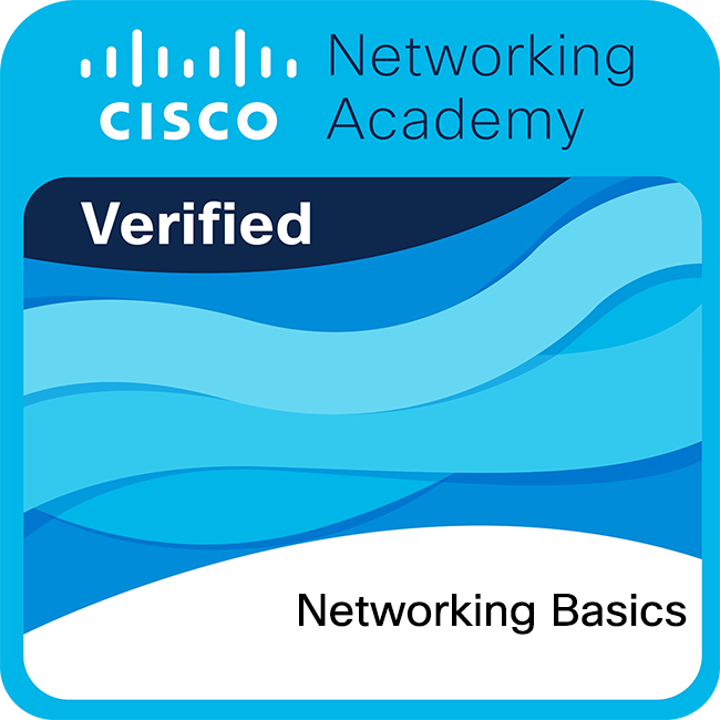 networking basics
